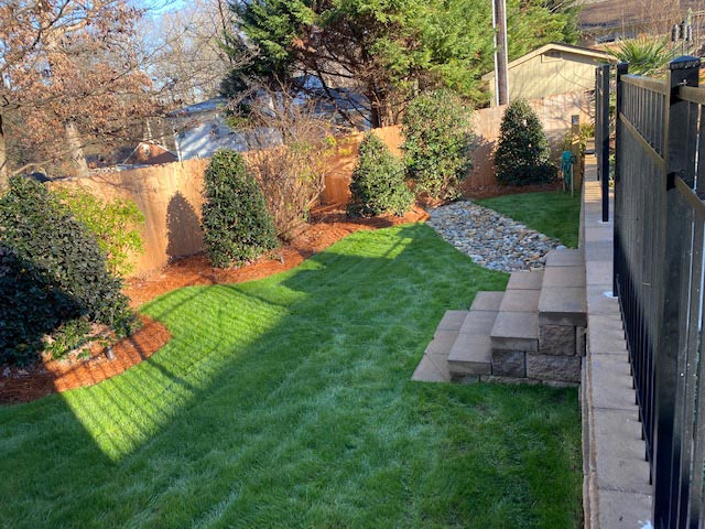 Landscaped Yard with Steps