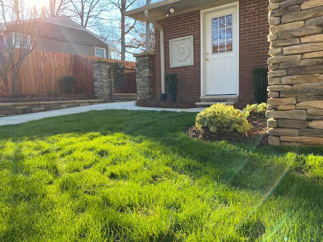 Grass and landscaping